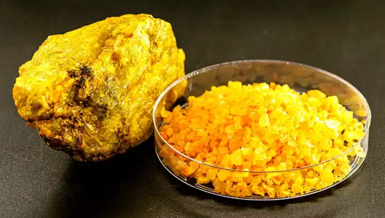 Uranyum Yemek: Tehlikeli Bir Deneyin Sonucu